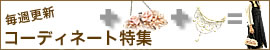 �X�^�b�t���I�I�������߉؂€�R�[�f�B�l�[�g
