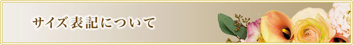 �T�C�Y�\�L�ɂ���